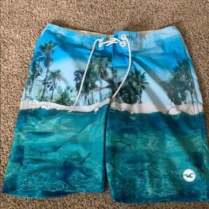 Holister Swim Trunks